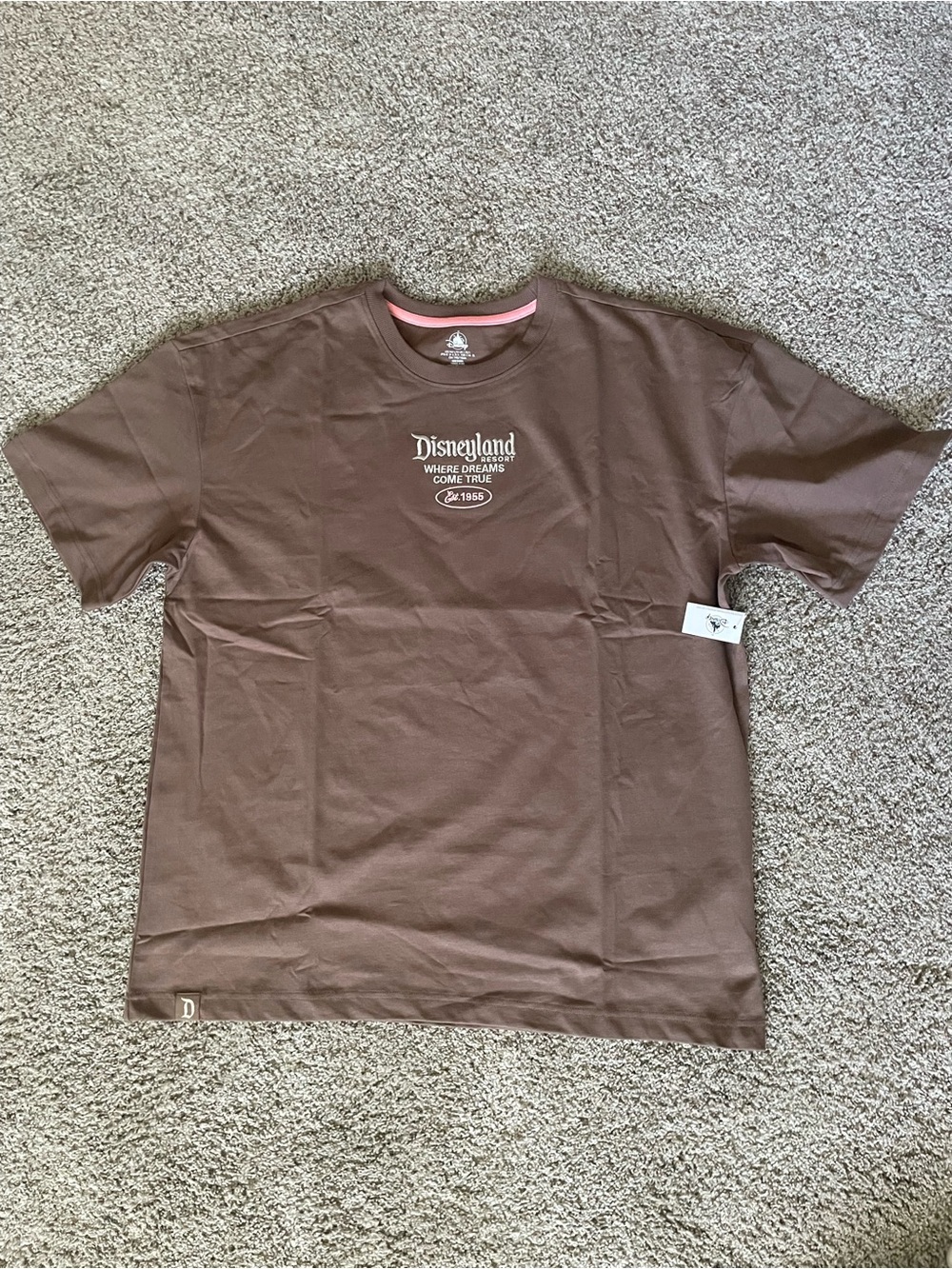 Disneyland Women’s Brown Embroidered Graphic Tee
